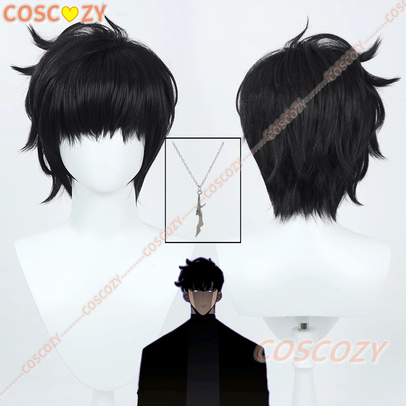 Sung Jinwoo Cosplay Wig from A - Cosplay Anime Solo 评论和价格