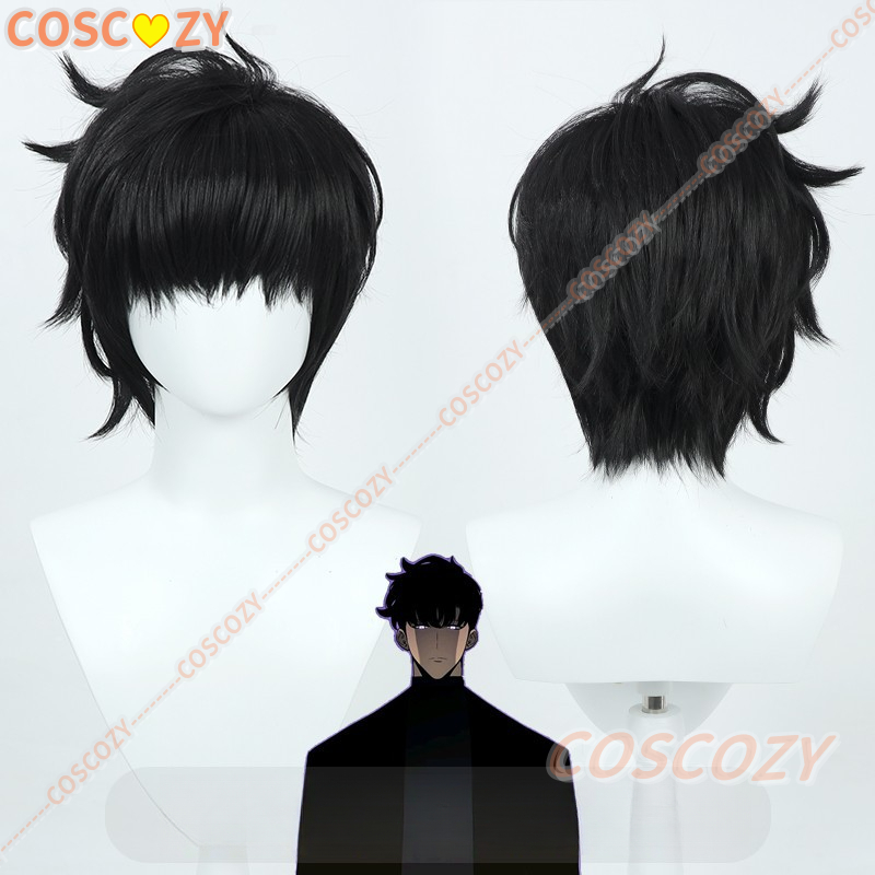 Sung Jinwoo Cosplay Wig from A - Cosplay Anime Solo 评论和价格
