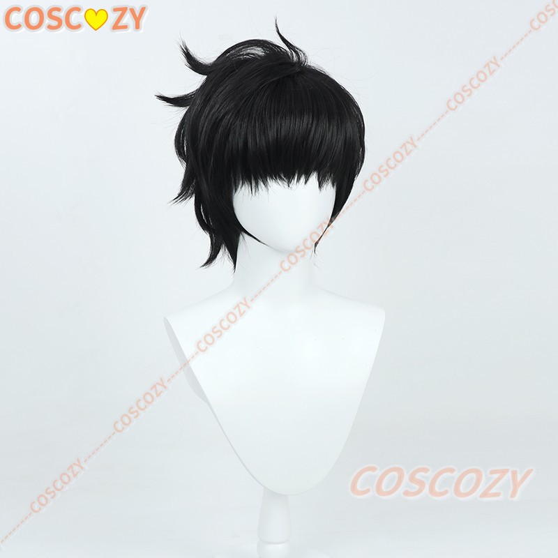 Sung Jinwoo Cosplay Wig from A - Cosplay Anime Solo 评论和价格