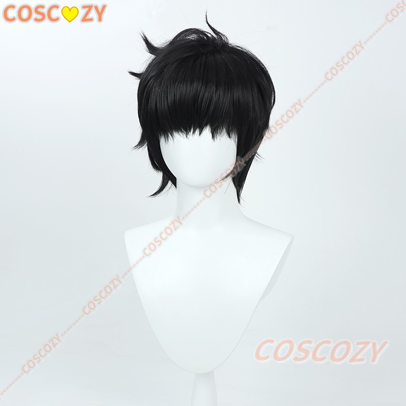 Sung Jinwoo Cosplay Wig from A - Cosplay Anime Solo 评论和价格